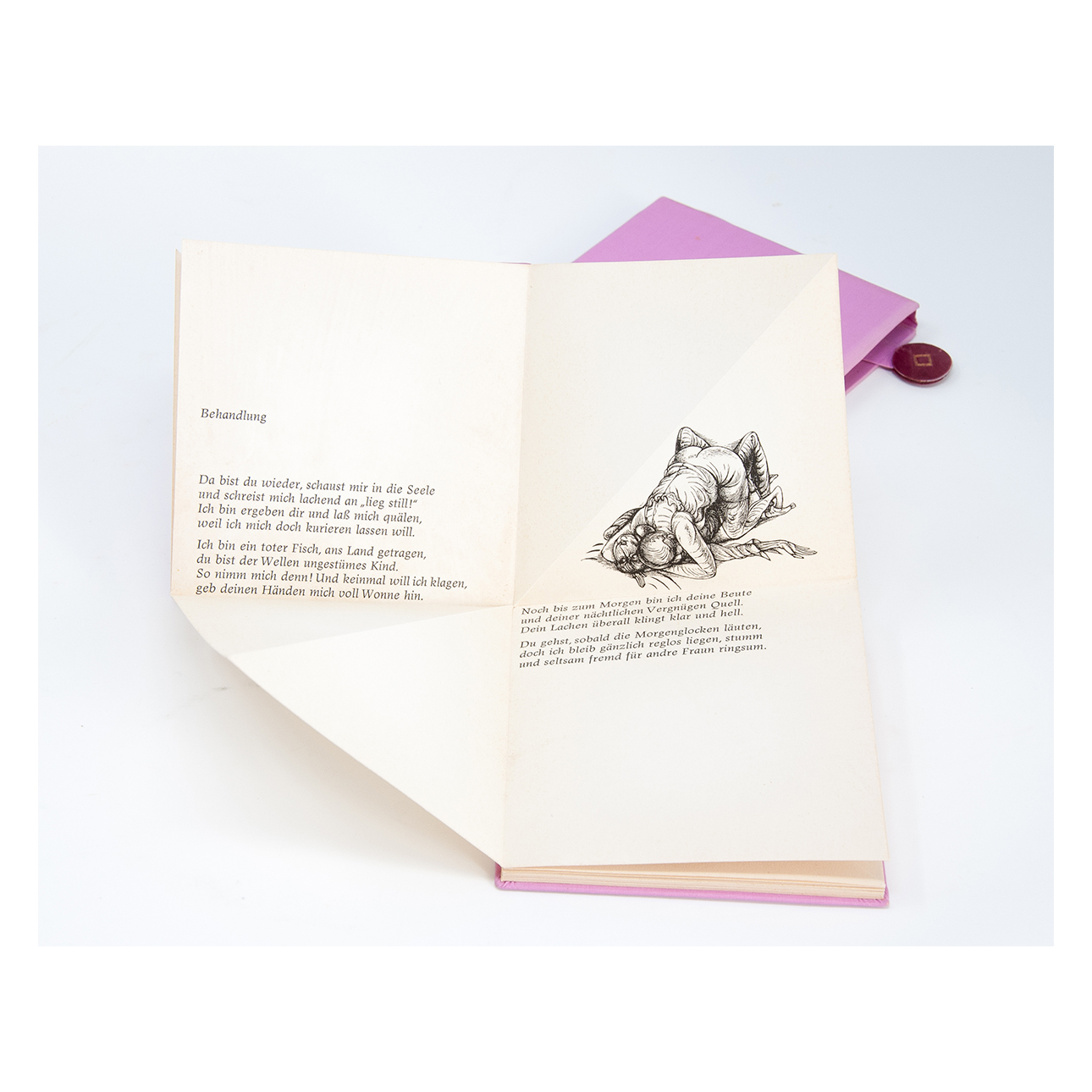 Schatten im Spiegel: Sechs intime Gedichte Shadow in the Mirror : Six  Intimate Poems by Valery Yakovlevich Bryusov on RARE PAPER